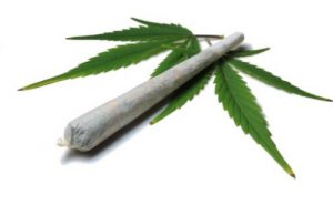cannabis - joint